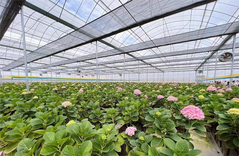 image005001 image005001