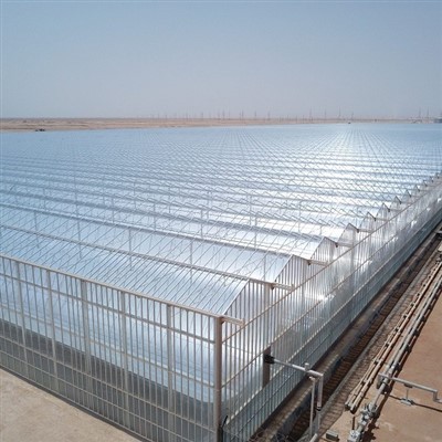 Agricultural Glass Greenhouse