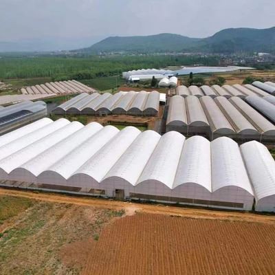 Large Film Greenhouse5