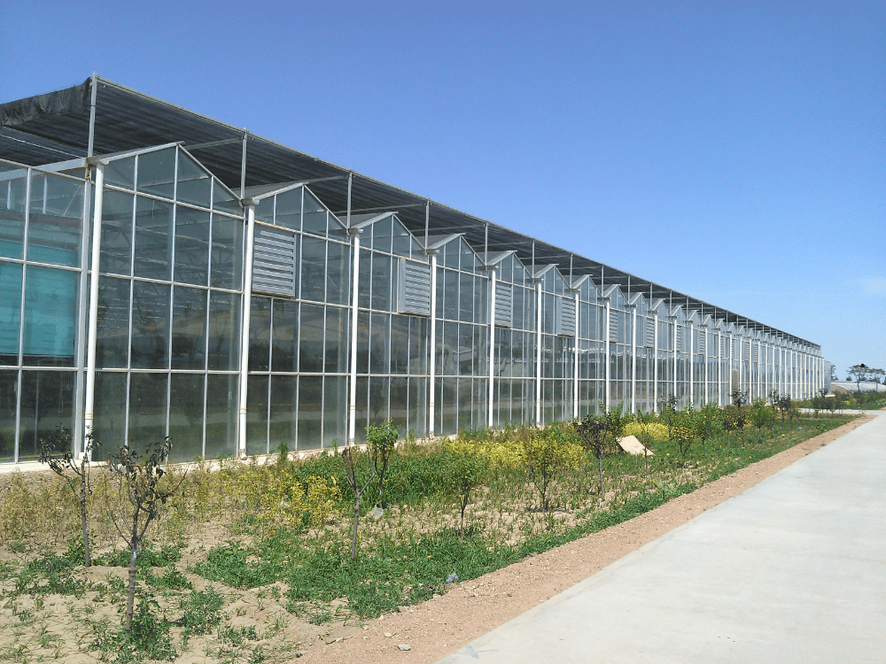 semi closed greenhouse02 semi closed greenhouse02